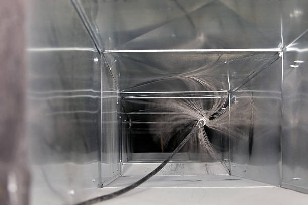 Best Air Duct Mold Removal  in Terra Bella, CA
